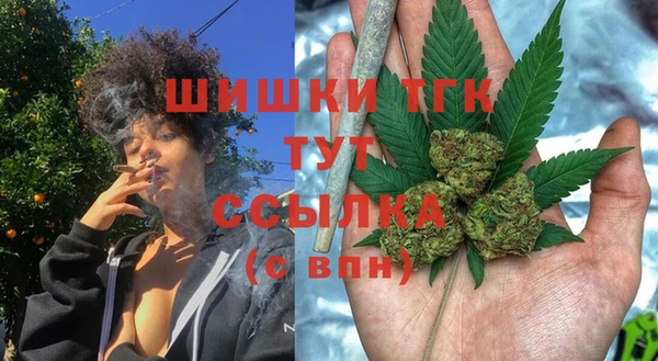 бошки Надым