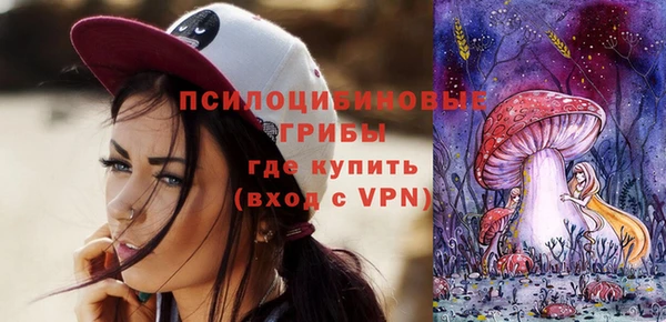 дмт Нея