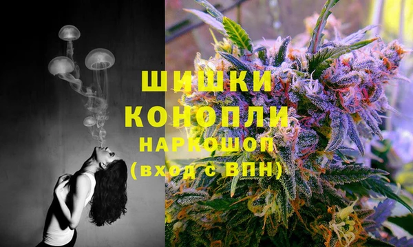 соль ск Нефтегорск