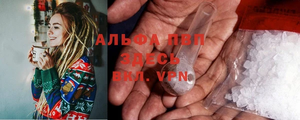 дмт Нея