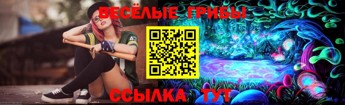 Галлюциногенные грибы Psilocybe  Вход с VPN  Миллерово  Галлюциногенные грибы мухоморы 