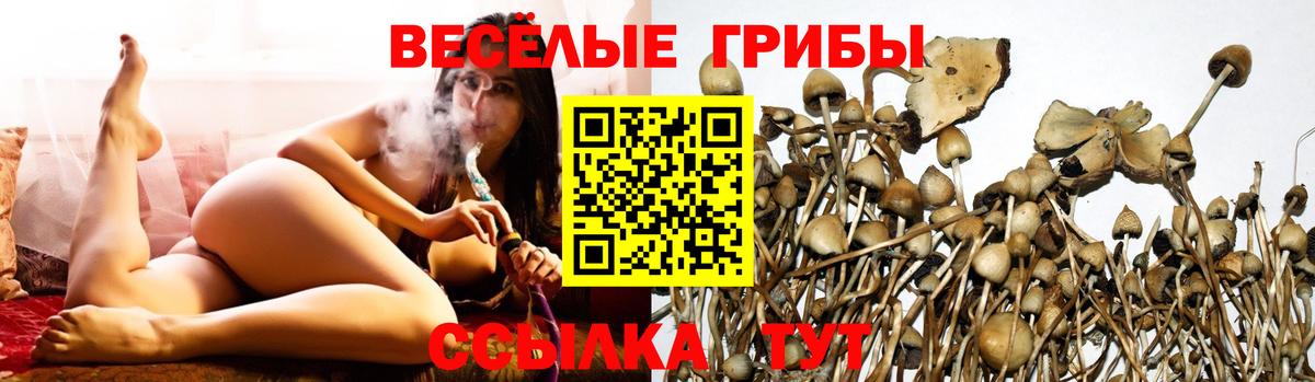 Псилоцибиновые грибы Magic Shrooms Миллерово